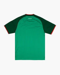 Algeria hand-embroidered football shirt in mint / green / gold, back view — CRID