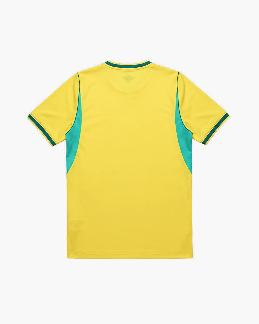 Brazil hand-embroidered football shirt in yellow / green, back view — CRID