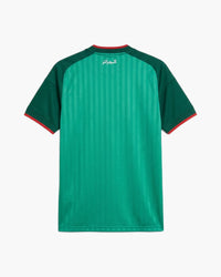 Algeria 2026 away football shirt in green with tonal pinstripes, dark green sleeves and white Arabic script at the collar, back view, blank for name and number — CRID
