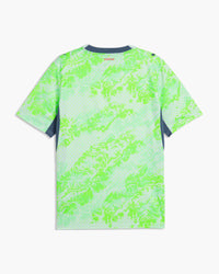 Switzerland 2026 away football shirt in green, back view, blank for name and number — CRID