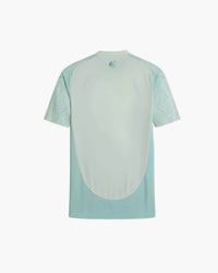 Mexico hand-embroidered football shirt in mint / green, back view — CRID